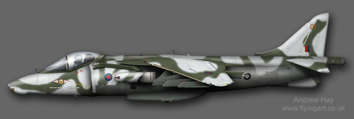 Harrier GR.5 ZD355 1(F) Sqn